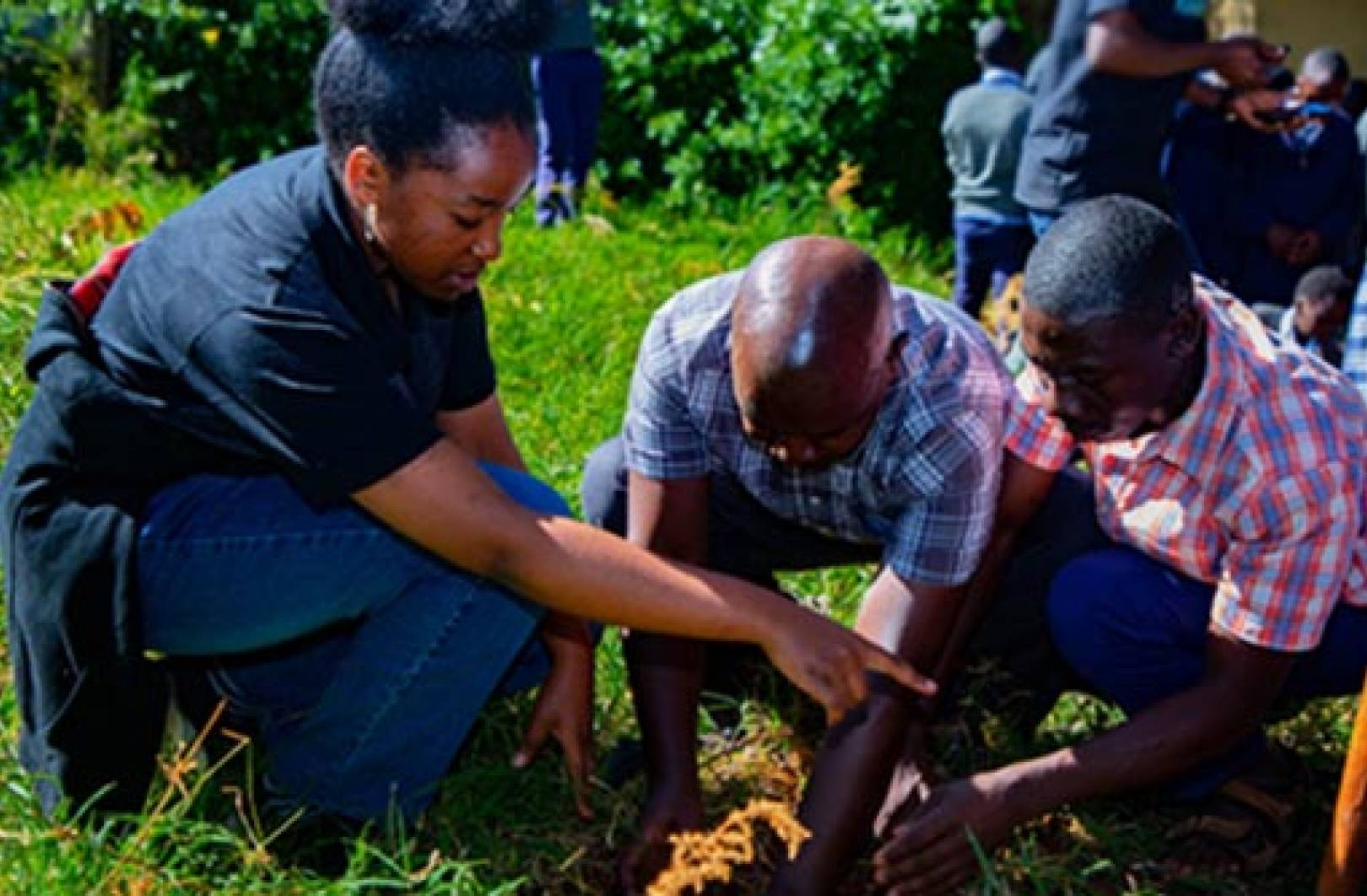 Staff Students Participate in a Tree Planting Exercise in Limuru 